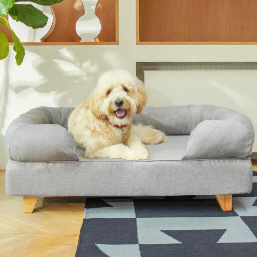 Hond zittend op Topology hondenbed met bolster bekleed en houten poten