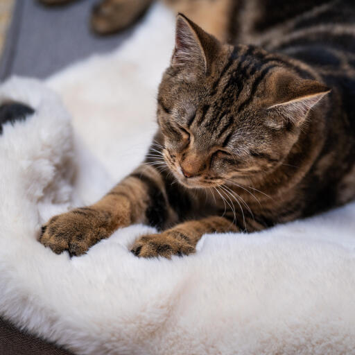 Luxury faux schapenvacht kattendeken