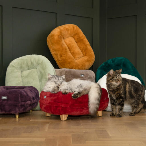 Katten slapen op gloednieuwe kleuren Omlet Maya donut kattenbedden