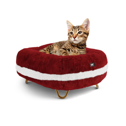 Kat ontspannen in de santa klauwen kerst donut bed