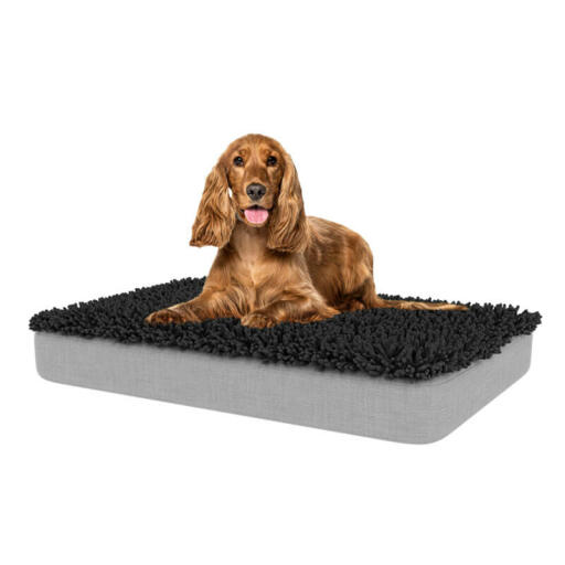 Kies een stijlvolle topper die bij uw huis past, zodat uw hond kan ontspannen waar u bent