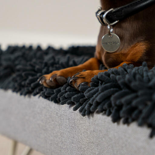 Teckel in een grijze microvezel topper voor het Topology wasbaar hondenbed