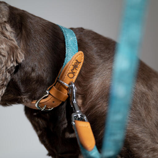 Een close-up van de halsband en het lood in de natuurpadprint