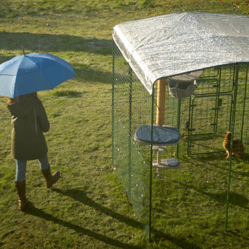 Een kat in hun catio met zware hoes in de regen...