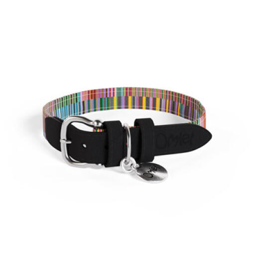 Medium pawsteps elektrische designer hondenhalsband