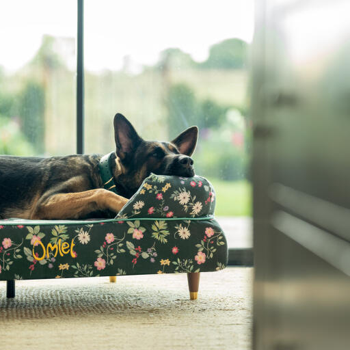 Een duitse herder rustend in het middernacht weide bolster hondenbed