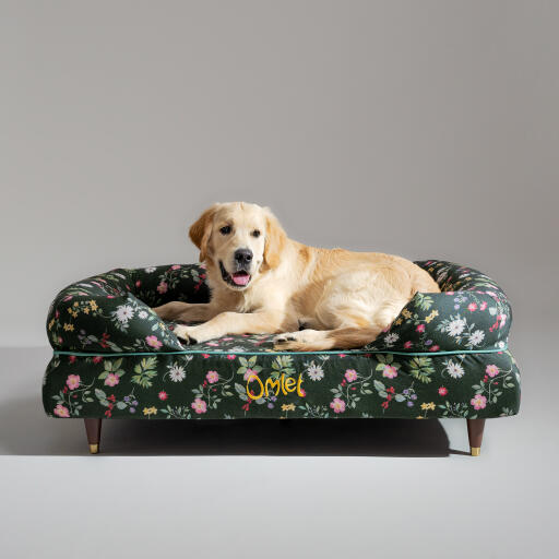 Een Golden retriever rustend in het midnight meadow bolster hondenbed