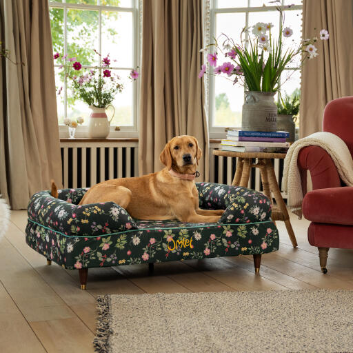Een retriever rustend in het midnight meadow bolster hondenbed