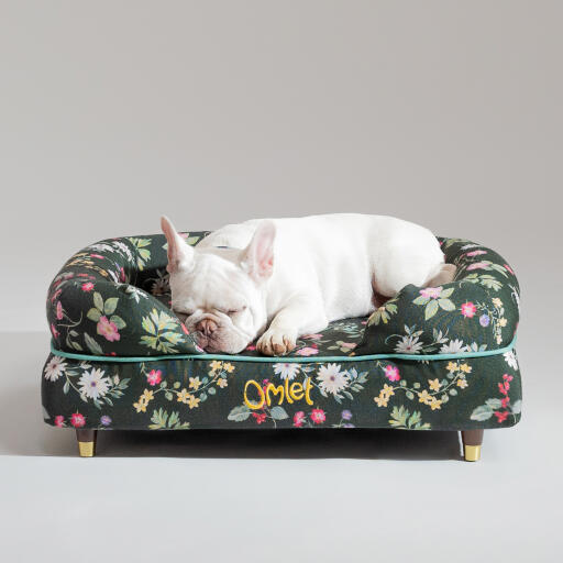 Een franse bulldog slapend in het midnight meadow bolster hondenbed