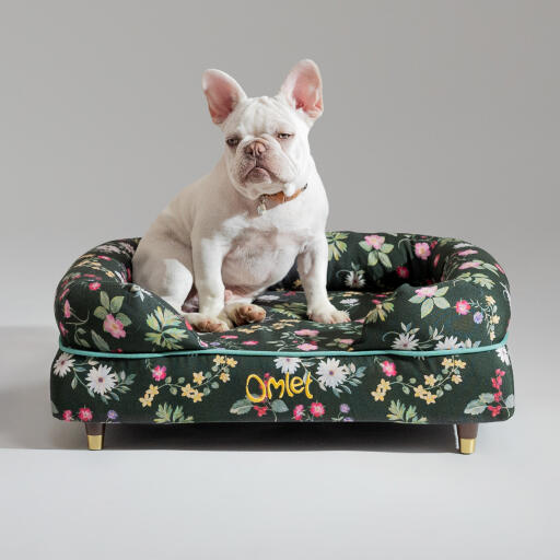 Een franse bulldog zat in het midnight meadow bolster hondenbed