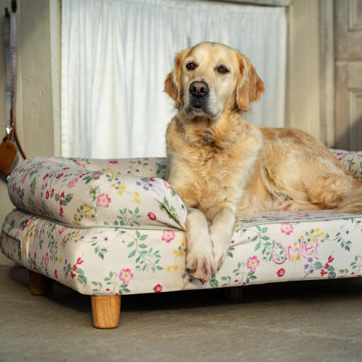 Een Golden retriever rustend op het ochtend weide bolster bed
