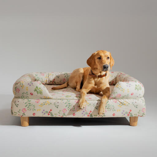 Een retriever rustend in de ochtend weide bolster hondenbed