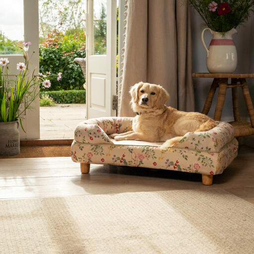 Een miniatuur Golden retriever rustend in de ochtend weide bolster hondenbed