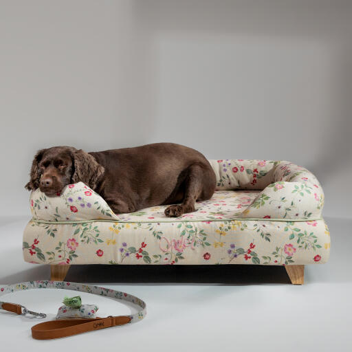 Een cocker spaniel rustend bovenop het traagschuim bolster bed morning meadow