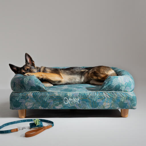 Een duitse herder rustend in het natuurpad bolster hondenbed