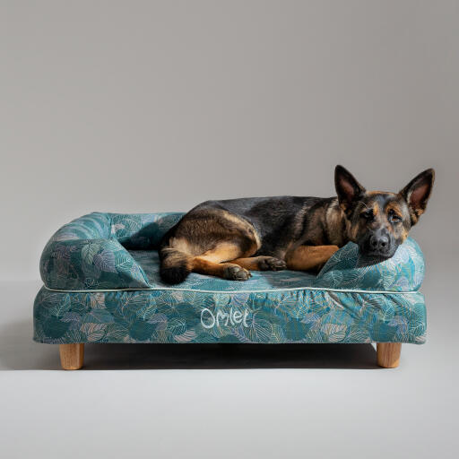 Een duitse herder rustend in het natuurpad bolster hondenbed
