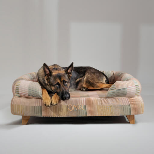 Een duitse herder rustend in het pawsteps natuurlijke bolster hondenbed