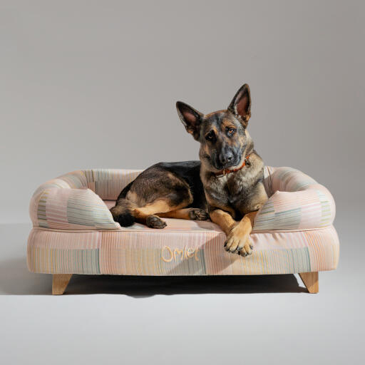 Een duitse herder rustend in het pawsteps natuurlijke bolster hondenbed