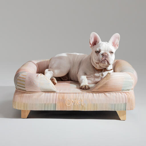 Een franse bulldog ontspannen in de pawsteps natuurlijke bolster hondenbed