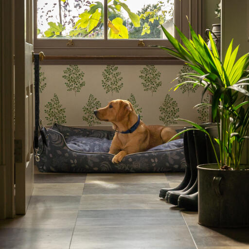 Retriever in een Omlet nestbed in het bos herfstpatroon