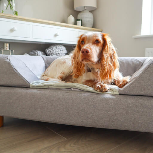 Topology hondenbed met bolster topper
