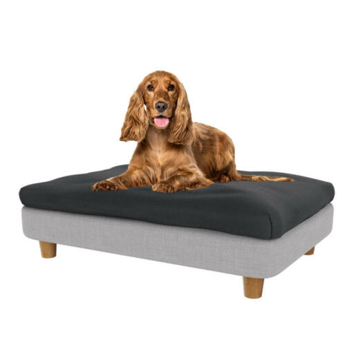 Cocker in het medium Topology hondenbed