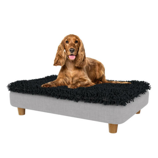 Cocker in het medium Topology hondenbed