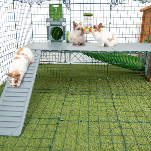 Omlet Zippi konijnenspeelbox met Zippi platformen, Caddi traktatiehouder, Zippi tunnel aangesloten en drie konijnen