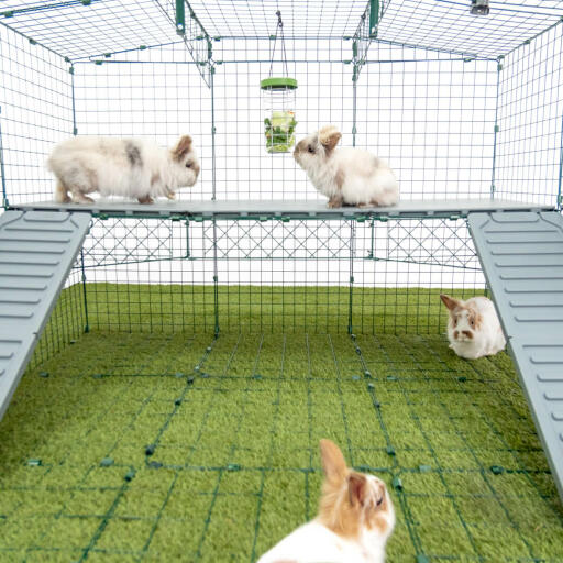 Omlet Zippi konijnenspeelbox met Zippi platformen, Caddi traktatiehouder en konijnen