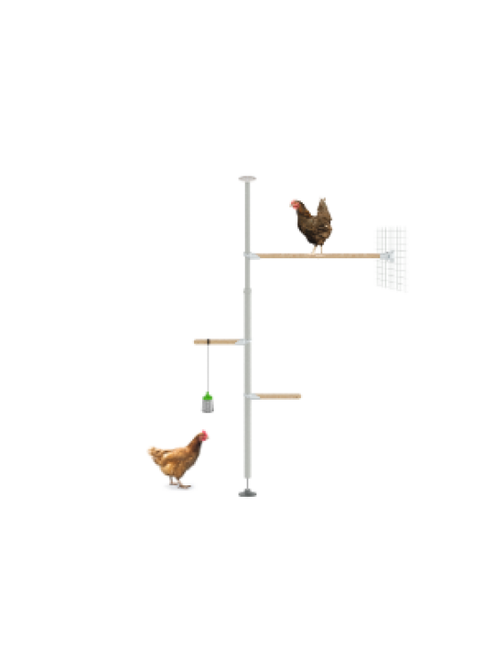 PoleTree zitstok - De Eggcercise Kit - 1,70 - 2,15 m