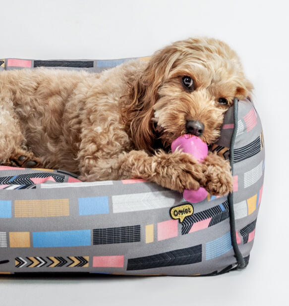 Ondersteunend en stijlvol designer nest hondenbed van Omlet