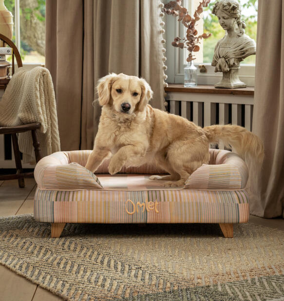 Labrador springt van verhoogd bolster hondenbed in pawsteps natuurlijke print met houten vierkante poten.
