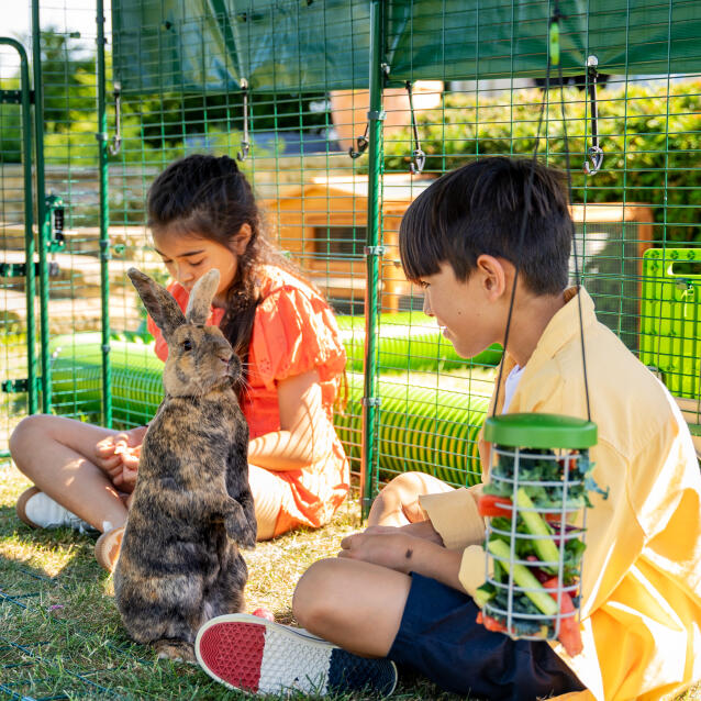 Kinderen en konijnen spelen in een grote buitenren