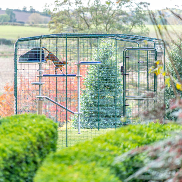 Kat klimmen Freestyle buiten kat boom in Omlet catio buiten in tuin