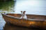 Een lieve, kleine jack russell terrier ontspant in een boot na een zwempartij