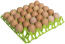 Gaun green eggs tray Gaun green eggs tray
