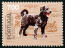 Een postzegel van een portugese waterhond