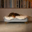 Teckel liggend op Omlet Topology hondenbed met schapenvacht topper en Gold haarspeld voetjes