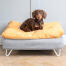 Teckel zittend op Omlet Topology hondenbed met zitzak topper en witte haarspeld voeten