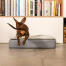 Teckel springend op Omlet Topology hondenbed met gewatteerde hoes