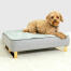 Hond zittend op Omlet Topology hondenbed met gewatteerde hoes topper en Gold rail voeten