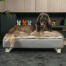 Hond zittend op Omlet Topology hondenbed met gewatteerde topper en witte rail voetjes