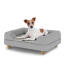 Hond zittend op een klein Topology hondenbed met grijze bolster topper en houten ronde poten