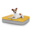 Hond zittend op klein Topology hondenbed met bonenzak topper Hond zittend op klein Topology hondenbed met bonenzak topper