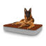 Hond zittend op groot Topology hondenbed met microvezel topper
