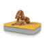 Hond zittend op medium Topology hondenbed met zitzak topper