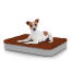 Hond zittend op klein Topology hondenbed met microvezel topper