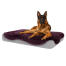 Hond zittend op groot Topology hondenbed met damson paarse schapenvacht topper