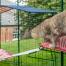 Kat klimt van rode buitenkat plank op witte buitenkat plank in Omlet catio