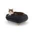 Kat zittend op Maya donut kattenbed in earl grey met Gold haarspeld pootjes
